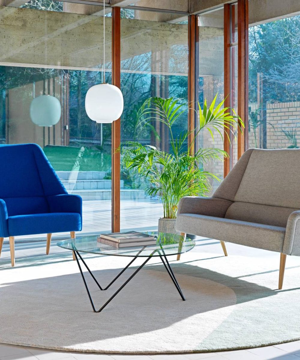 Flamingo-51253332984_c87bdda11b_o