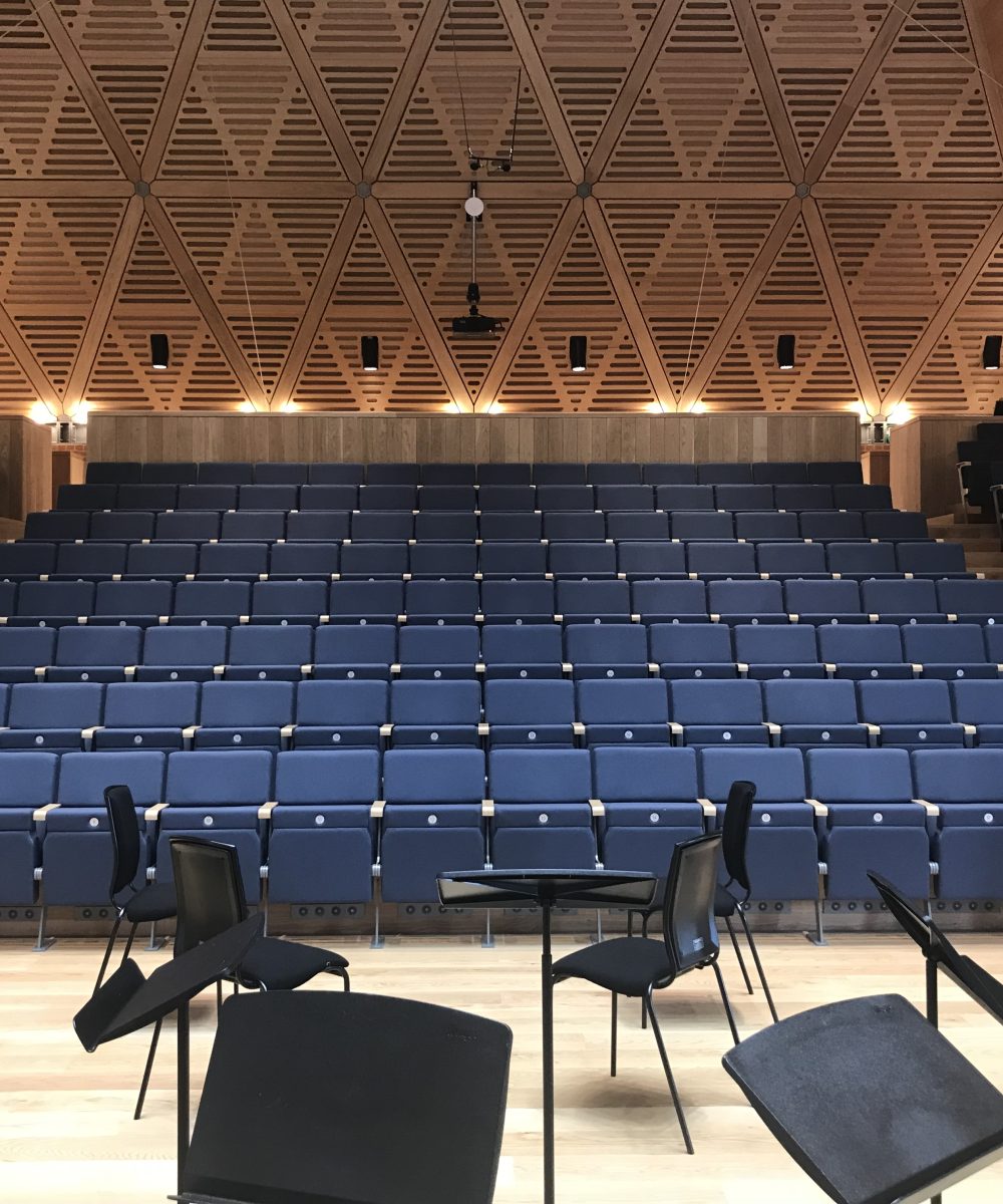 Kings College Wimbledon - Swan by Race Furniture (19)